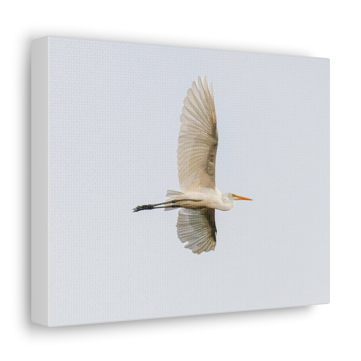 Flying Bird Canvas Gallery Wraps