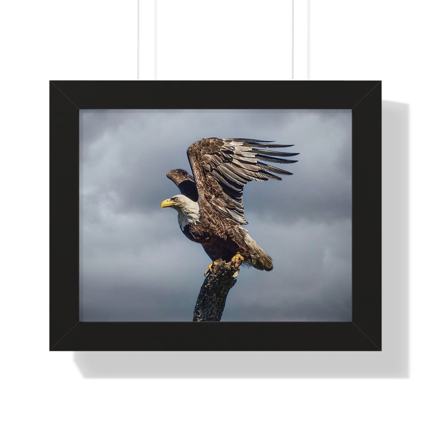 Majestic Eagle Framed Poster - Nature Wall Art for Wildlife Enthusiasts
