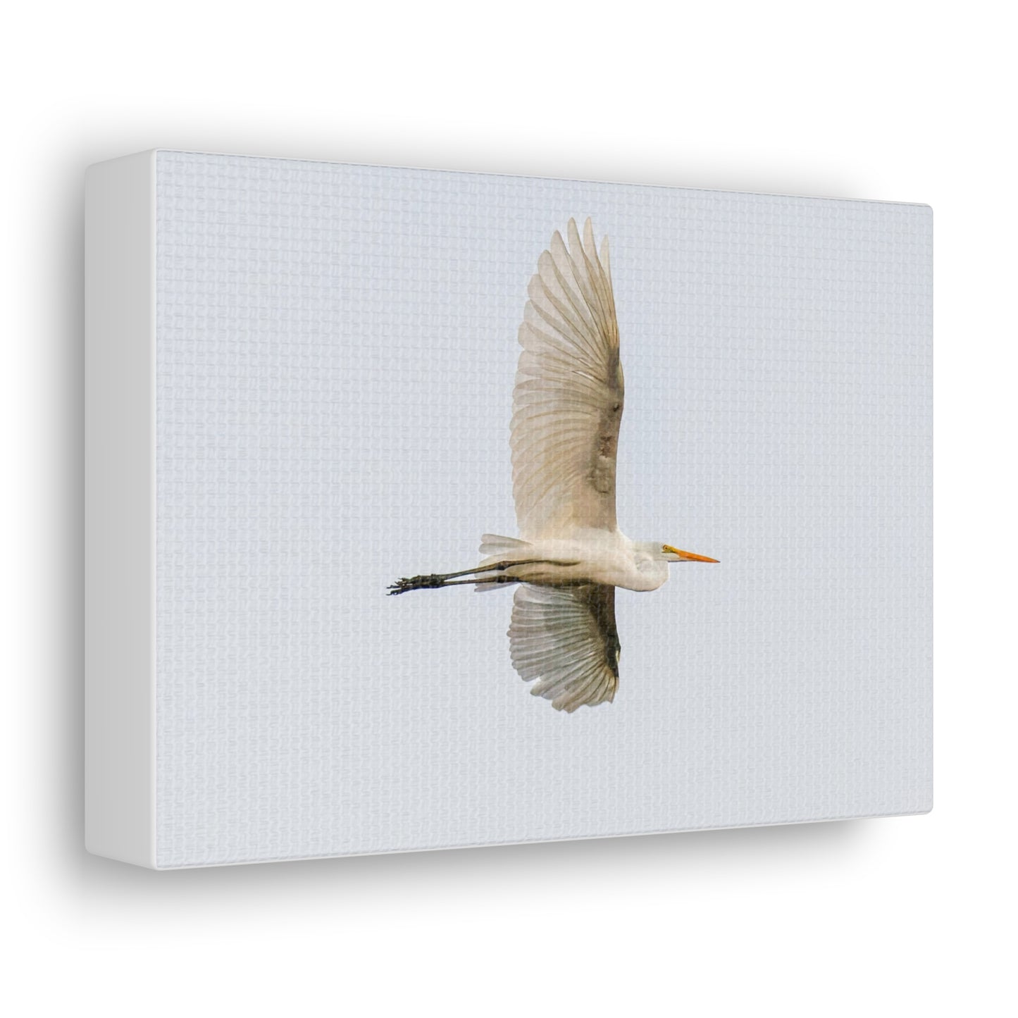 Flying Bird Canvas Gallery Wraps