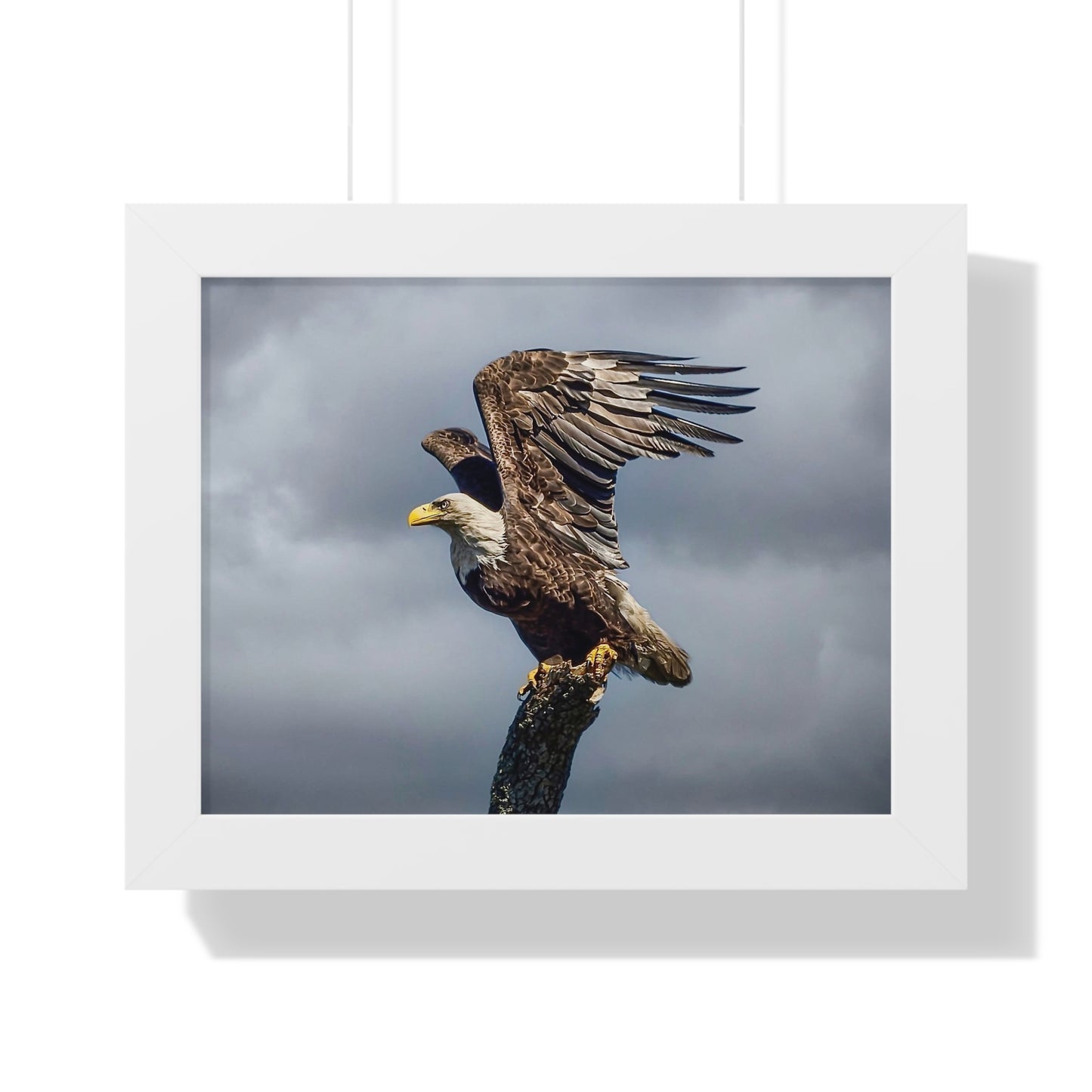 Majestic Eagle Framed Poster - Nature Wall Art for Wildlife Enthusiasts