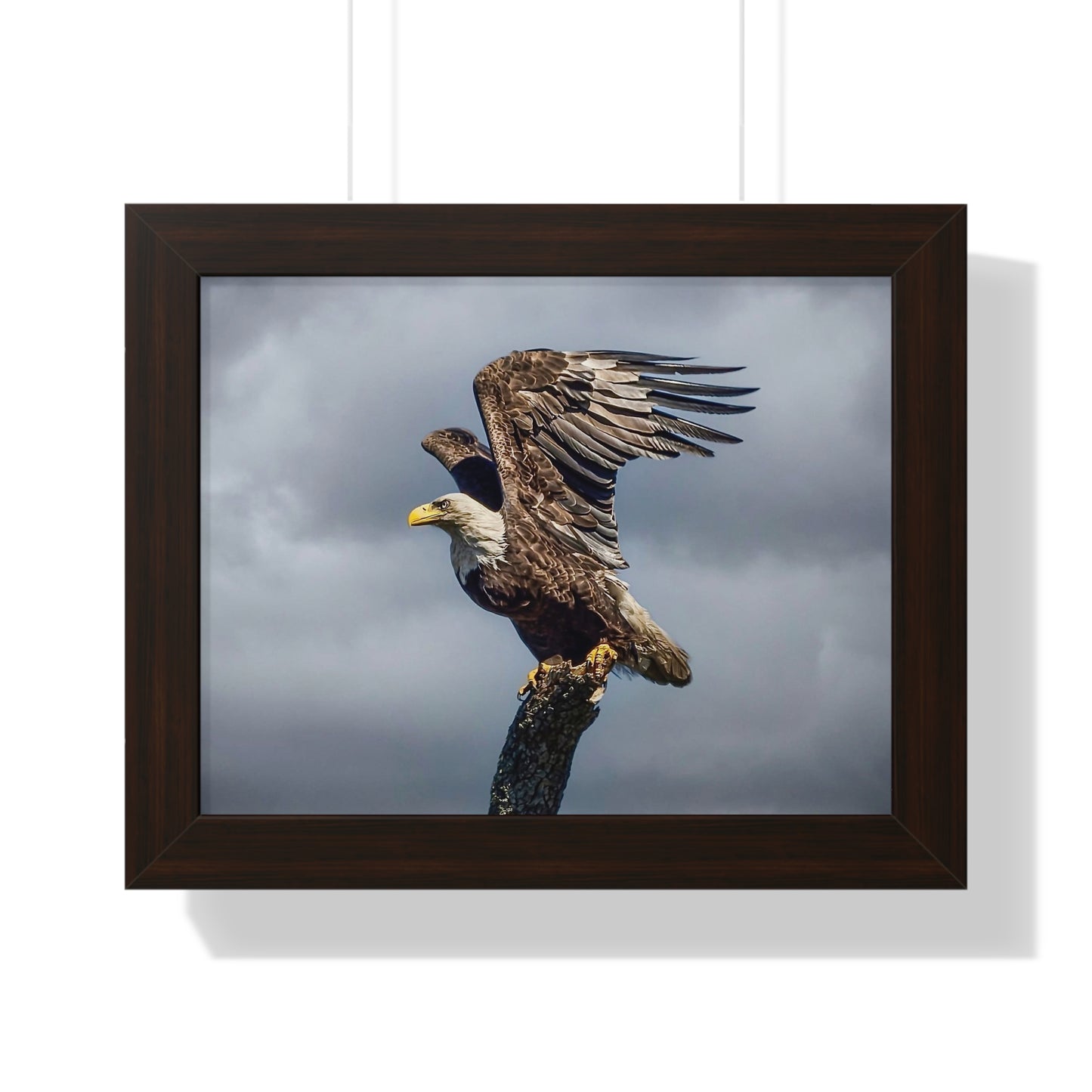 Majestic Eagle Framed Poster - Nature Wall Art for Wildlife Enthusiasts