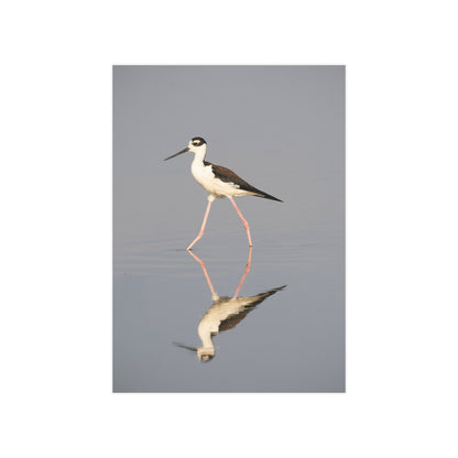 Stilt Unframed Print