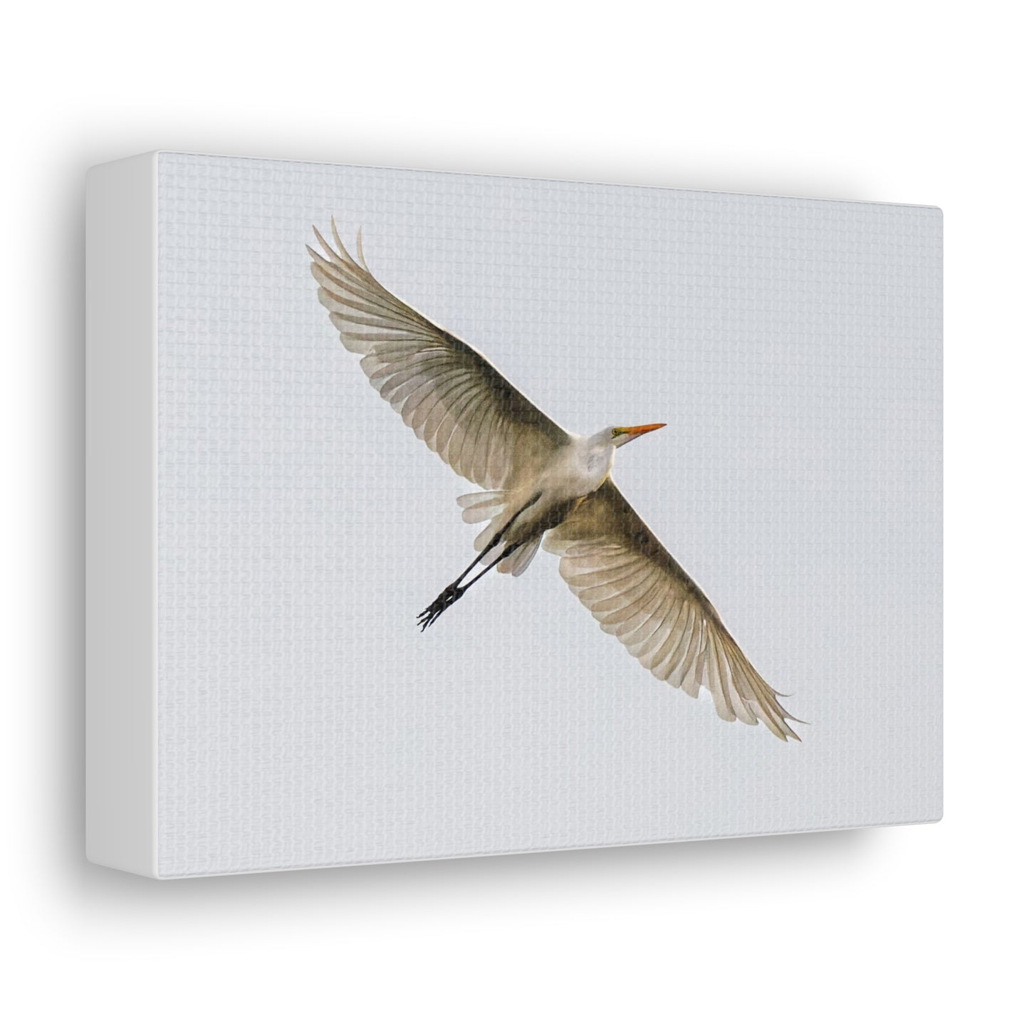 Flying Bird Canvas Gallery Wraps