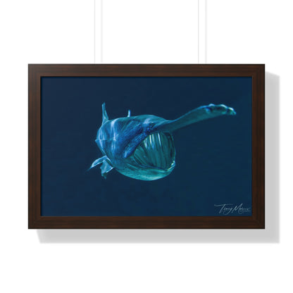 Framed shark Horizontal Poster