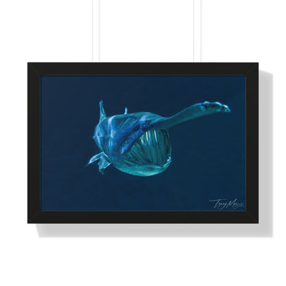 Framed shark Horizontal Poster