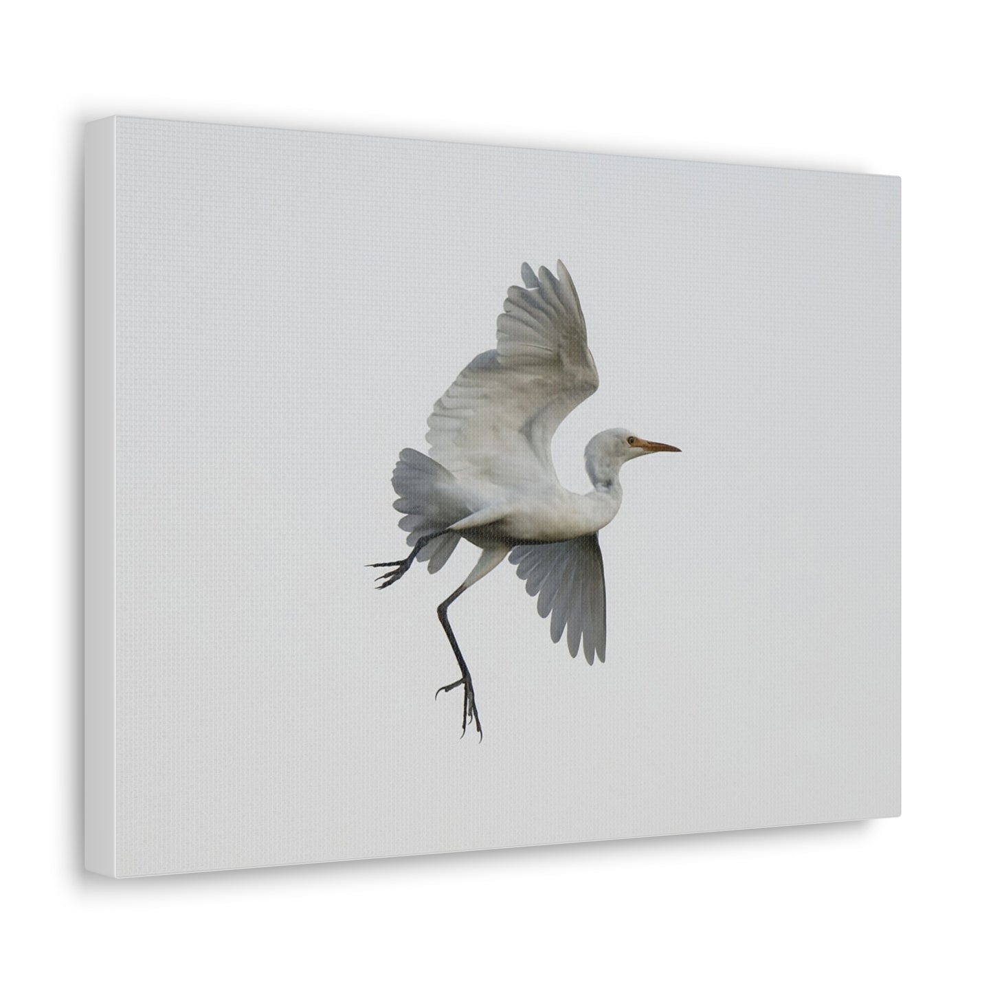 Flying Bird Canvas Gallery Wraps