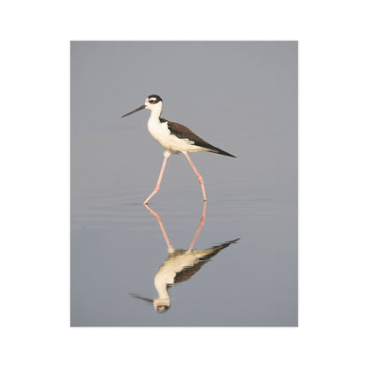 Stilt Unframed Print