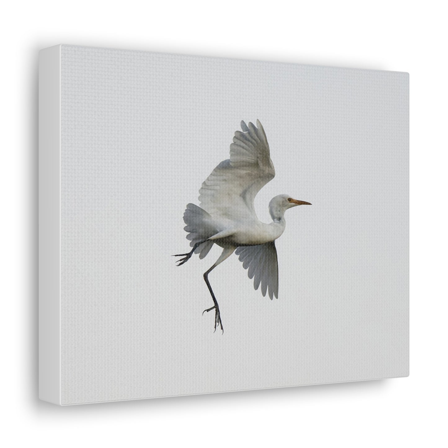 Flying Bird Canvas Gallery Wraps