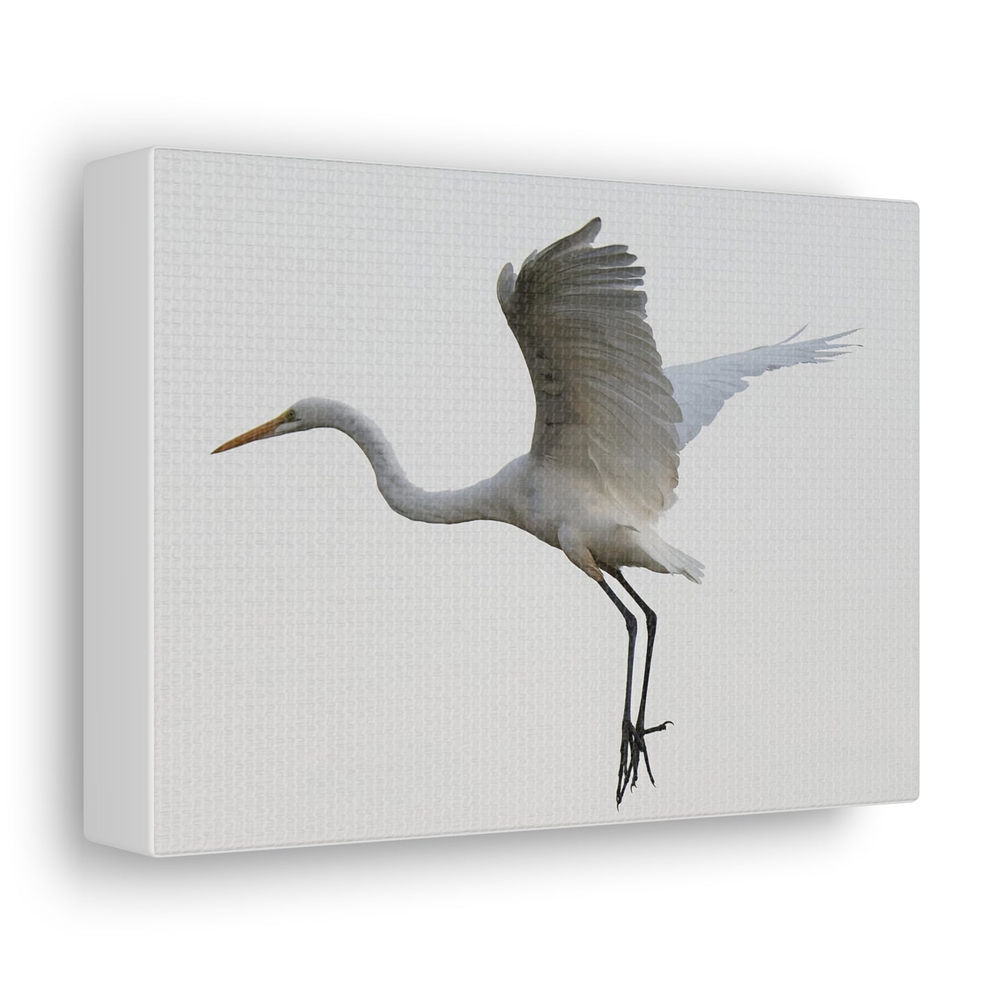 Flying Bird Canvas Gallery Wraps