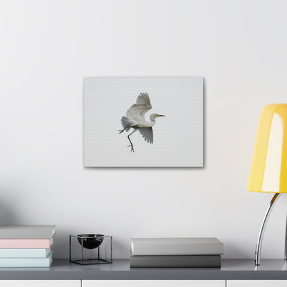 Flying Bird Canvas Gallery Wraps