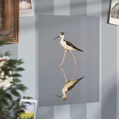 Stilt Unframed Print