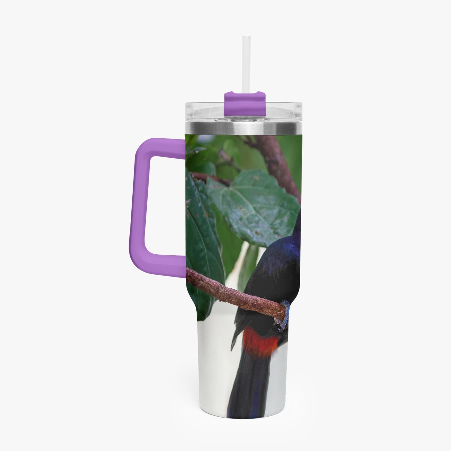 Tucan 40oz Car Tumbler Cup